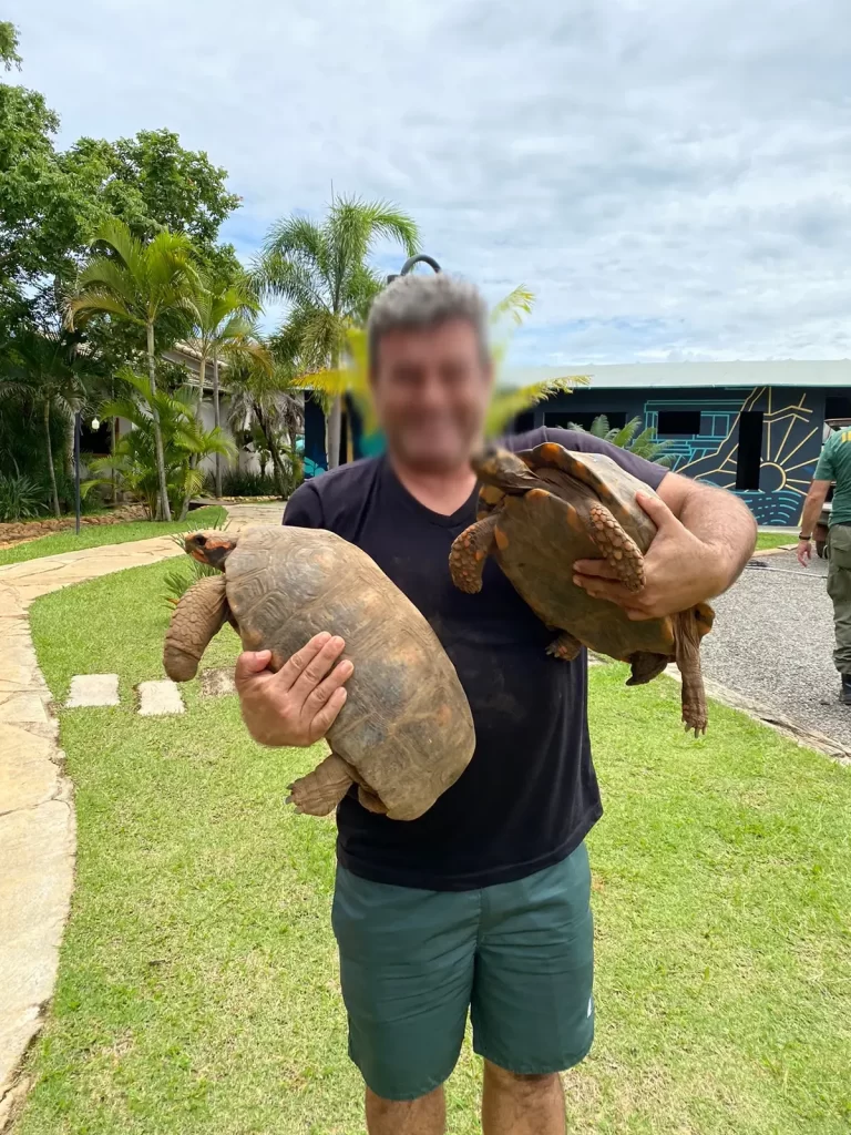 Reserva Peninsula - Pegada ambiental - Tartarugas